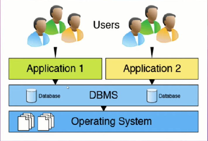 Database Management System